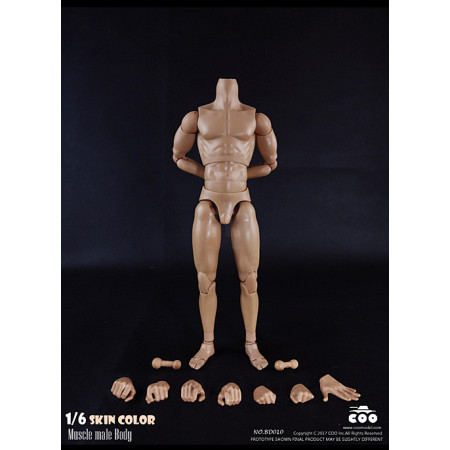 1/6 Scale Muscle male high Body